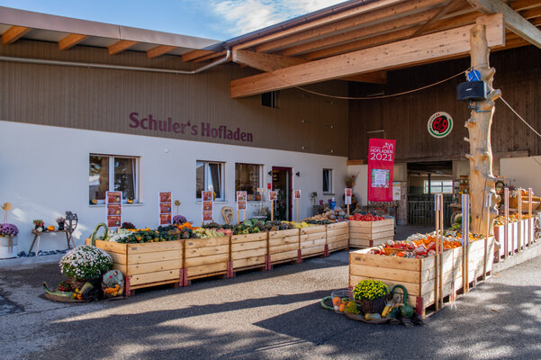 Kürbisausstellung Ludihof