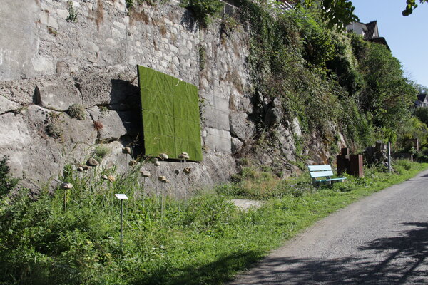 Bruno Glaus und Thomas Meile Ausstellung Uznach
