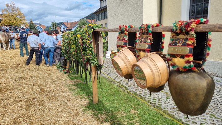 Viehschau Bütschwil